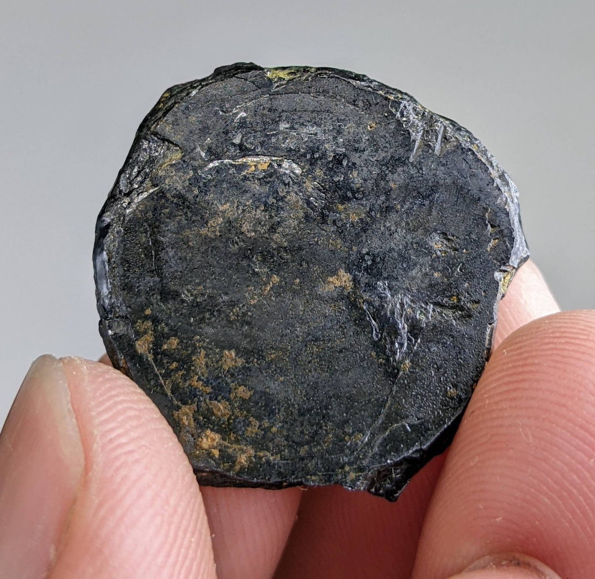 Zagi Mountain Ilmenite Crystal, Pakistan, 8.3 grams