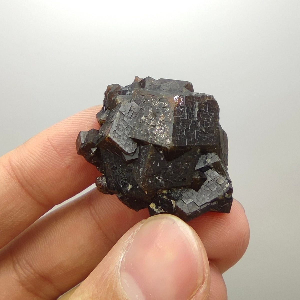Natural Dark brown Andradite garnet cluster, Well formed crystal, 28.8 grams