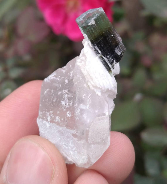 Green Cap Tourmaline Crystal on Quartz Matrix, Skardu Pakistan
