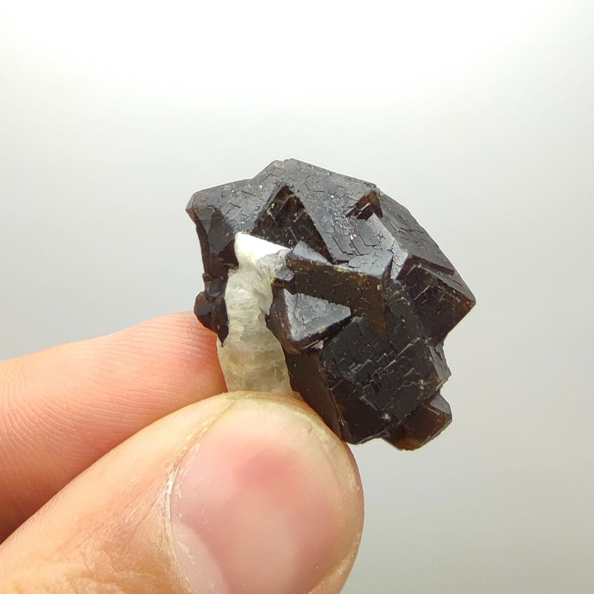 Natural Dark brown Andradite garnet cluster, Well formed crystal, 13.8 grams