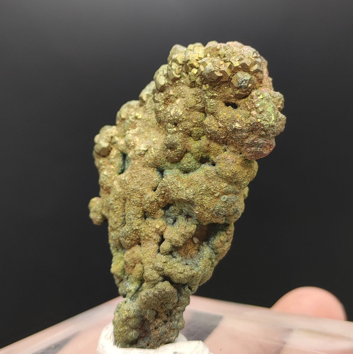 Natural golden Marcasite crystal with rainbow effect on surface from Pakistan, 56 grams