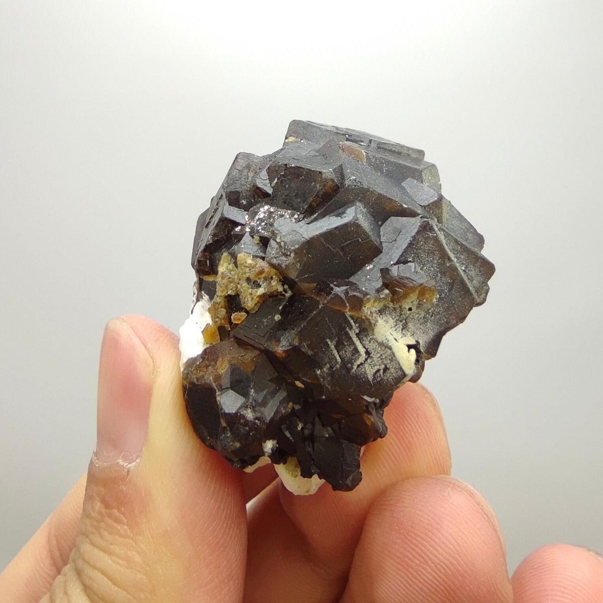 Natural Dark brown Andradite garnet cluster, Well formed crystal, 40 grams