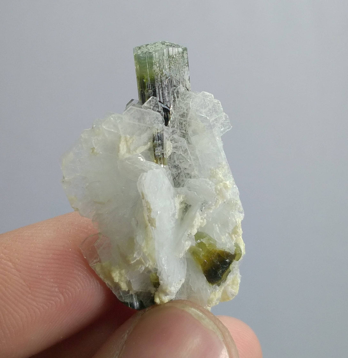 Green Cap Tourmaline Crystal, Double Terminated, Skardu Pakistan