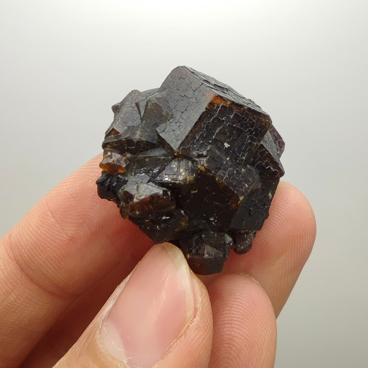 Natural Dark brown Andradite garnet cluster, Well formed crystal, 28.8 grams