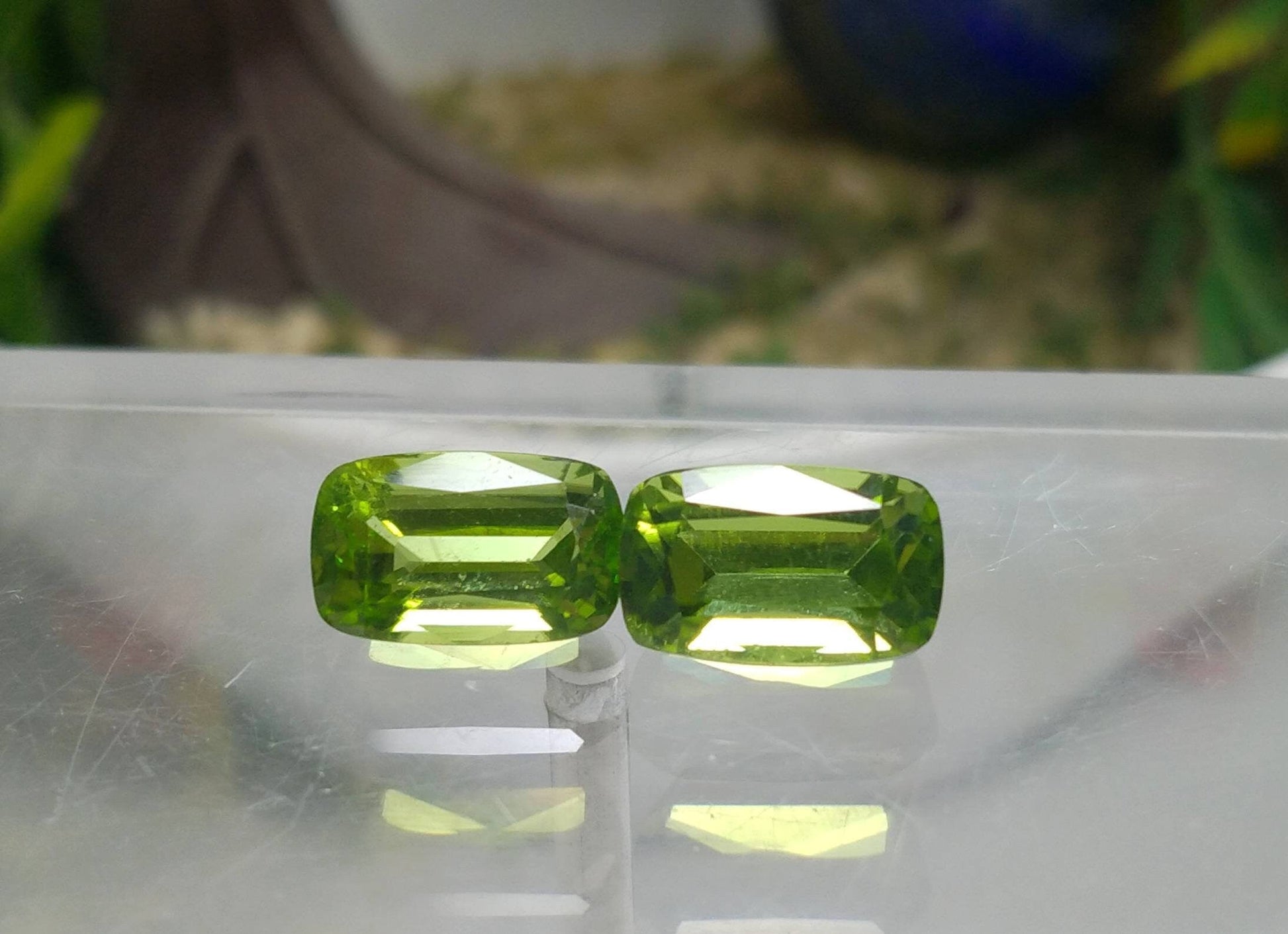 ARSAA GEMS AND MINERALSNatural high quality beautiful 11 carats pair of green faceted radiant shape peridot gems - Premium  from ARSAA GEMS AND MINERALS - Just $165.00! Shop now at ARSAA GEMS AND MINERALS
