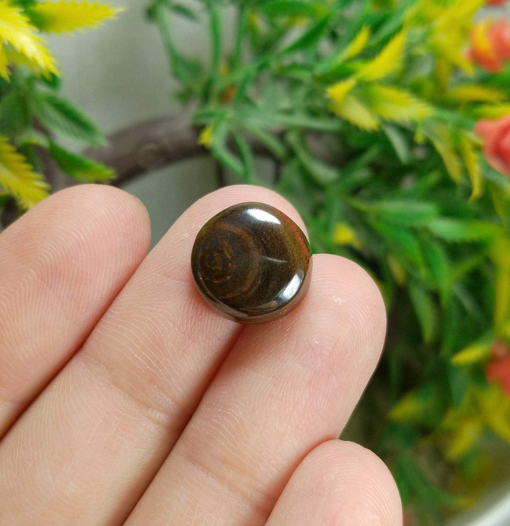 ARSAA GEMS AND MINERALSNatural fine quality beautiful 18 carats Pair of jasper cabochons - Premium  from ARSAA GEMS AND MINERALS - Just $12.00! Shop now at ARSAA GEMS AND MINERALS