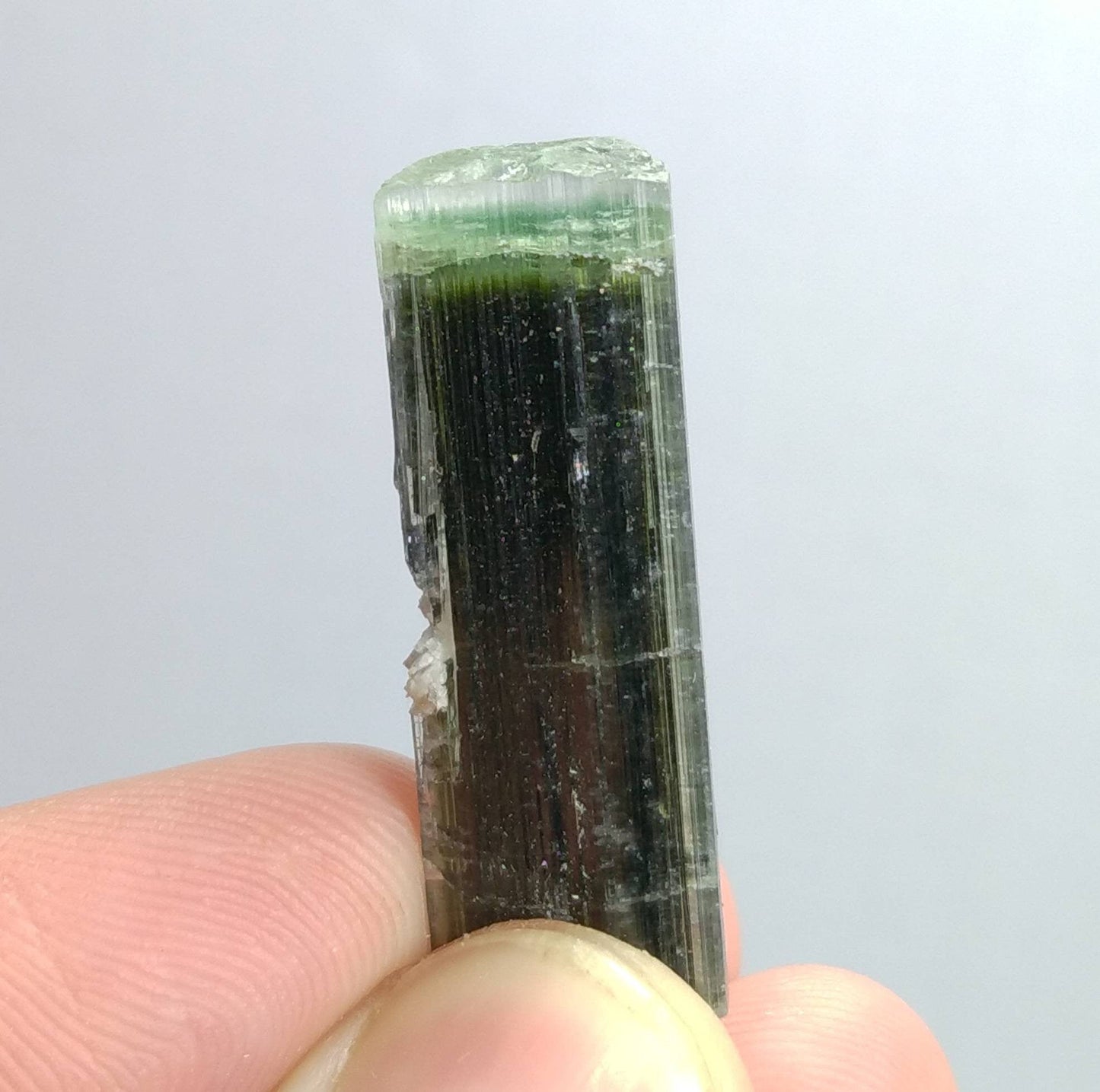 ARSAA GEMS AND MINERALSNatural top quality beautiful 7 grams terminated green cap Tourmaline crystal - Premium  from ARSAA GEMS AND MINERALS - Just $45.00! Shop now at ARSAA GEMS AND MINERALS