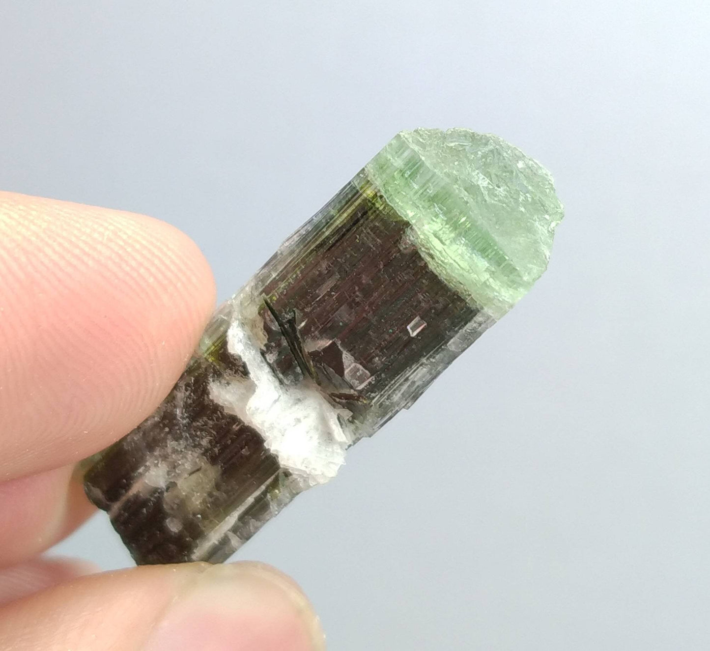 ARSAA GEMS AND MINERALSNatural top quality beautiful 7 grams terminated green cap Tourmaline crystal - Premium  from ARSAA GEMS AND MINERALS - Just $45.00! Shop now at ARSAA GEMS AND MINERALS