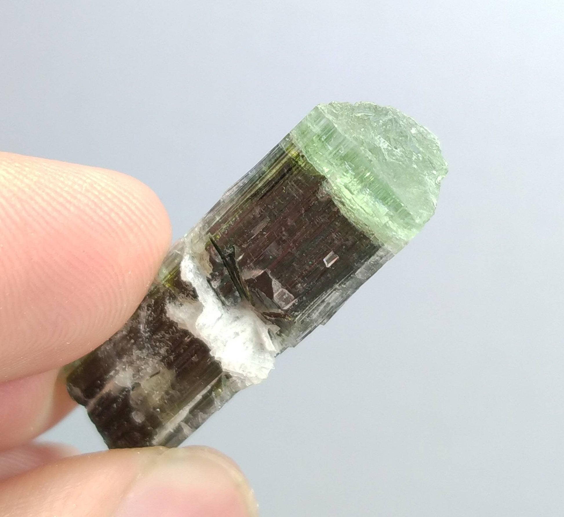 ARSAA GEMS AND MINERALSNatural top quality beautiful 7 grams terminated green cap Tourmaline crystal - Premium  from ARSAA GEMS AND MINERALS - Just $45.00! Shop now at ARSAA GEMS AND MINERALS