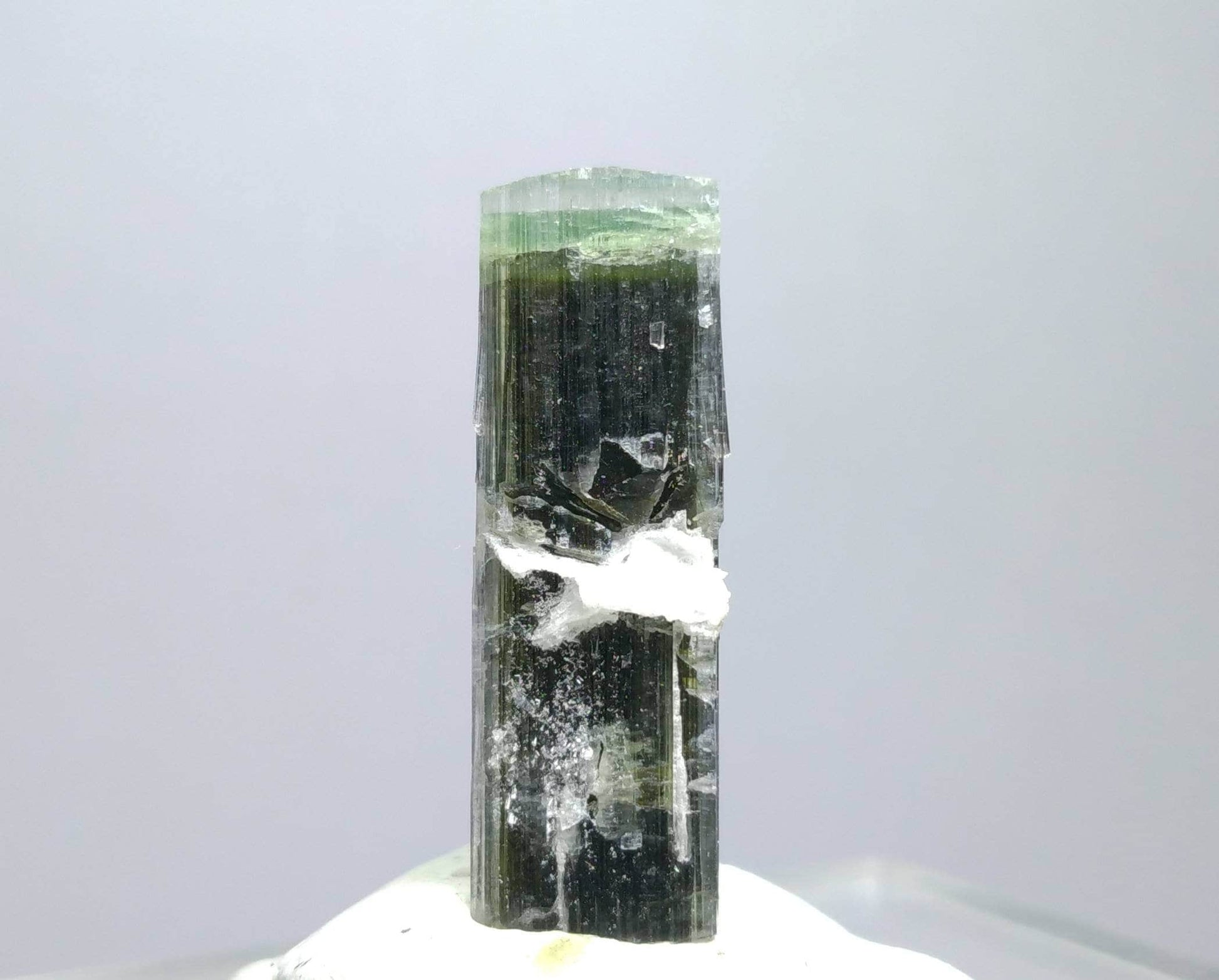 ARSAA GEMS AND MINERALSNatural top quality beautiful 7 grams terminated green cap Tourmaline crystal - Premium  from ARSAA GEMS AND MINERALS - Just $45.00! Shop now at ARSAA GEMS AND MINERALS