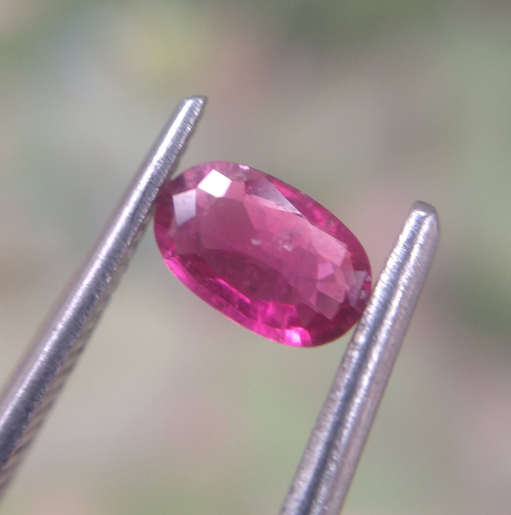 ARSAA GEMS AND MINERALSNatural top quality beautiful 8 carats VV clarity faceted small lot small sized multicolor Tourmaline gems - Premium  from ARSAA GEMS AND MINERALS - Just $48.00! Shop now at ARSAA GEMS AND MINERALS
