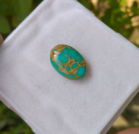 ARSAA GEMS AND MINERALSNatural top quality beautiful 11.5 carats untreated unheated turquoise cabochon - Premium  from ARSAA GEMS AND MINERALS - Just $34.00! Shop now at ARSAA GEMS AND MINERALS