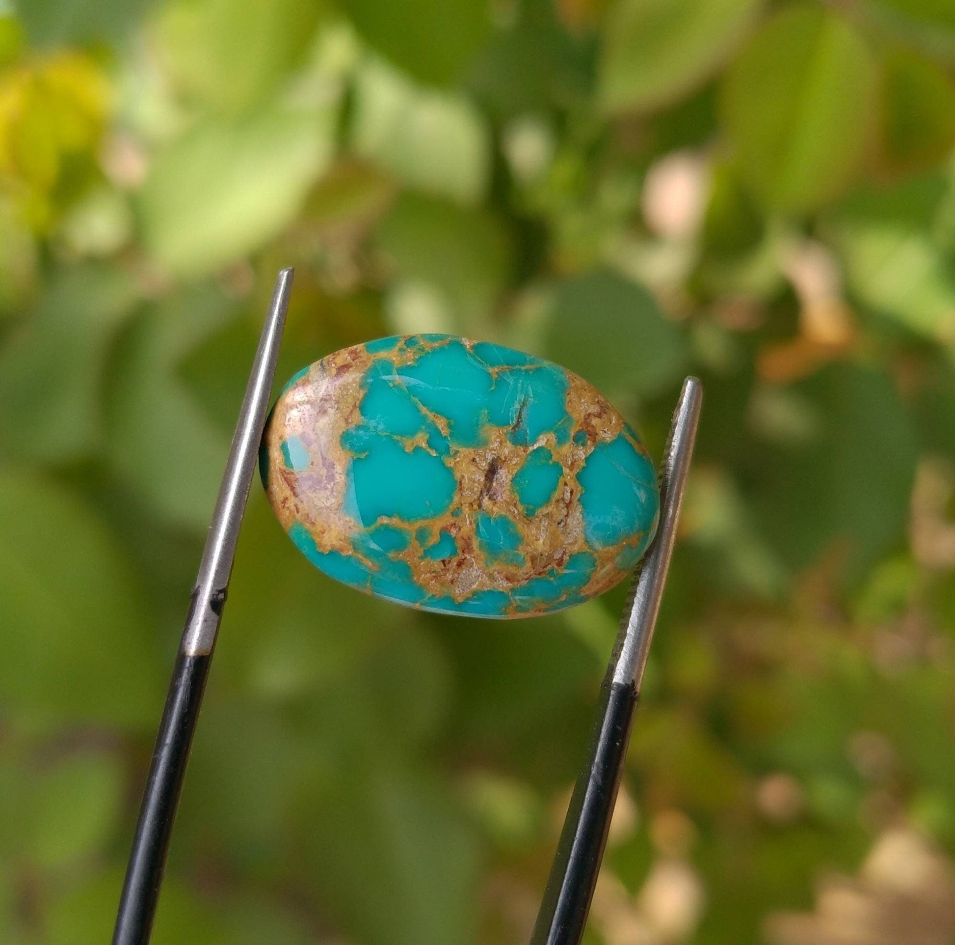 ARSAA GEMS AND MINERALSNatural top quality beautiful 11.5 carats untreated unheated turquoise cabochon - Premium  from ARSAA GEMS AND MINERALS - Just $34.00! Shop now at ARSAA GEMS AND MINERALS