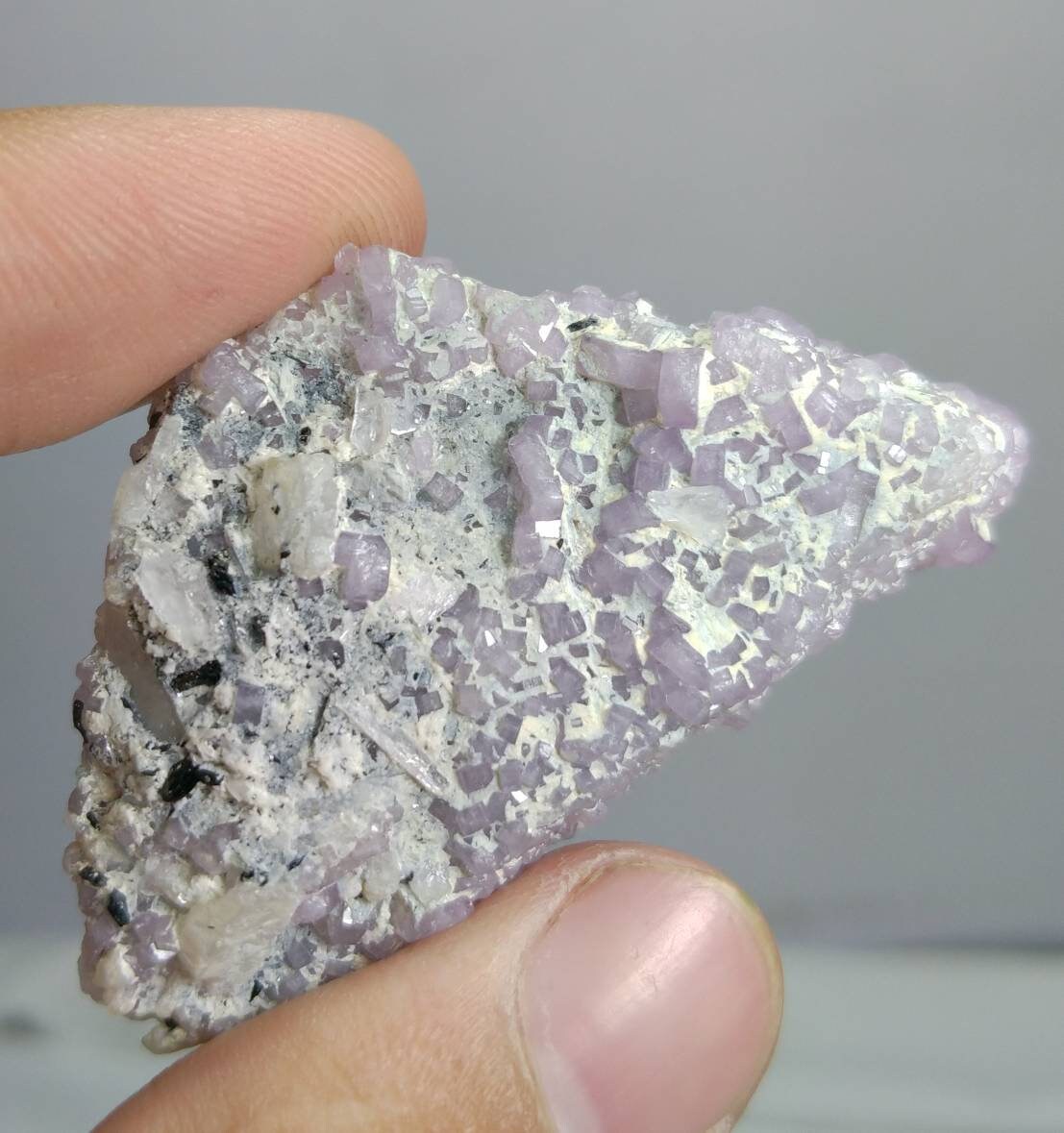 ARSAA GEMS AND MINERALSNumerous small sized light color 35.5 grams fluor-apatite crystals on terminates etched tourmaline crystal - Premium  from ARSAA GEMS AND MINERALS - Just $250.00! Shop now at ARSAA GEMS AND MINERALS