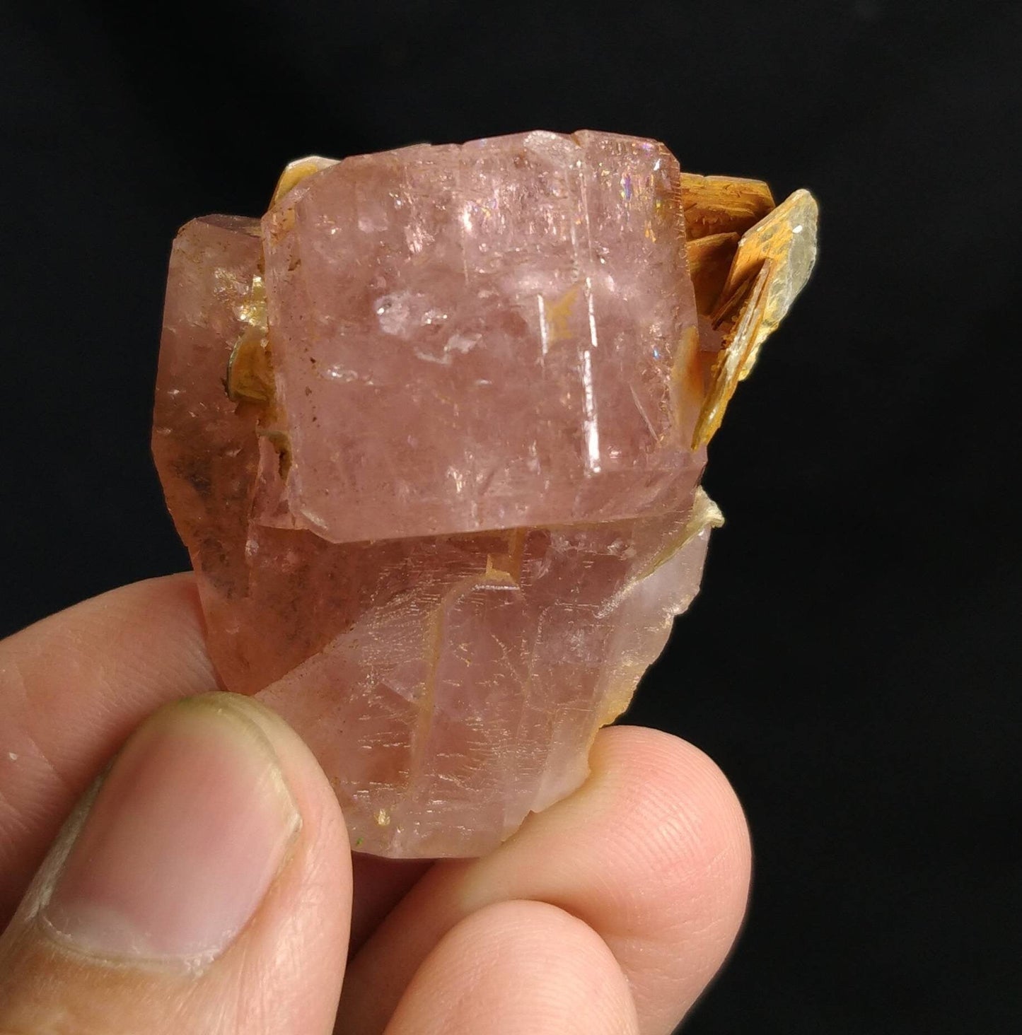 ARSAA GEMS AND MINERALSNice sized cluster 34.5 grams of lusterous hot pink apatite with muscovite mica Prestine condition - Premium  from ARSAA GEMS AND MINERALS - Just $300.00! Shop now at ARSAA GEMS AND MINERALS