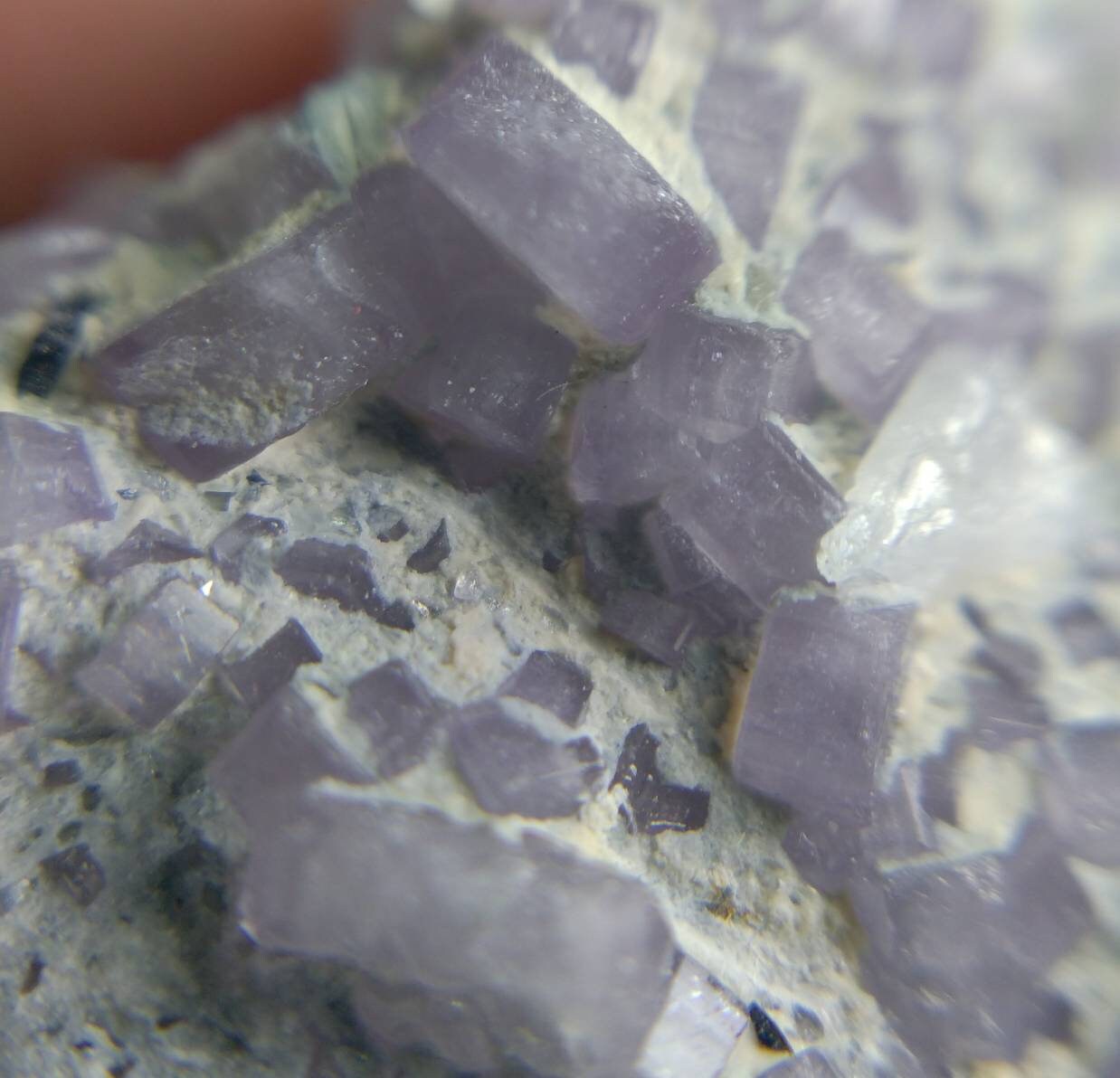 ARSAA GEMS AND MINERALSNumerous small sized light color 35.5 grams fluor-apatite crystals on terminates etched tourmaline crystal - Premium  from ARSAA GEMS AND MINERALS - Just $250.00! Shop now at ARSAA GEMS AND MINERALS