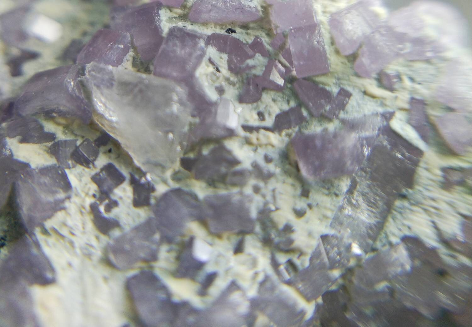 ARSAA GEMS AND MINERALSNumerous small sized light color 35.5 grams fluor-apatite crystals on terminates etched tourmaline crystal - Premium  from ARSAA GEMS AND MINERALS - Just $250.00! Shop now at ARSAA GEMS AND MINERALS