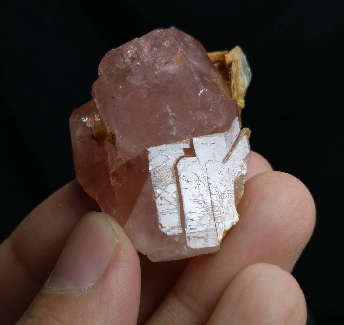 ARSAA GEMS AND MINERALSNice sized cluster 34.5 grams of lusterous hot pink apatite with muscovite mica Prestine condition - Premium  from ARSAA GEMS AND MINERALS - Just $300.00! Shop now at ARSAA GEMS AND MINERALS