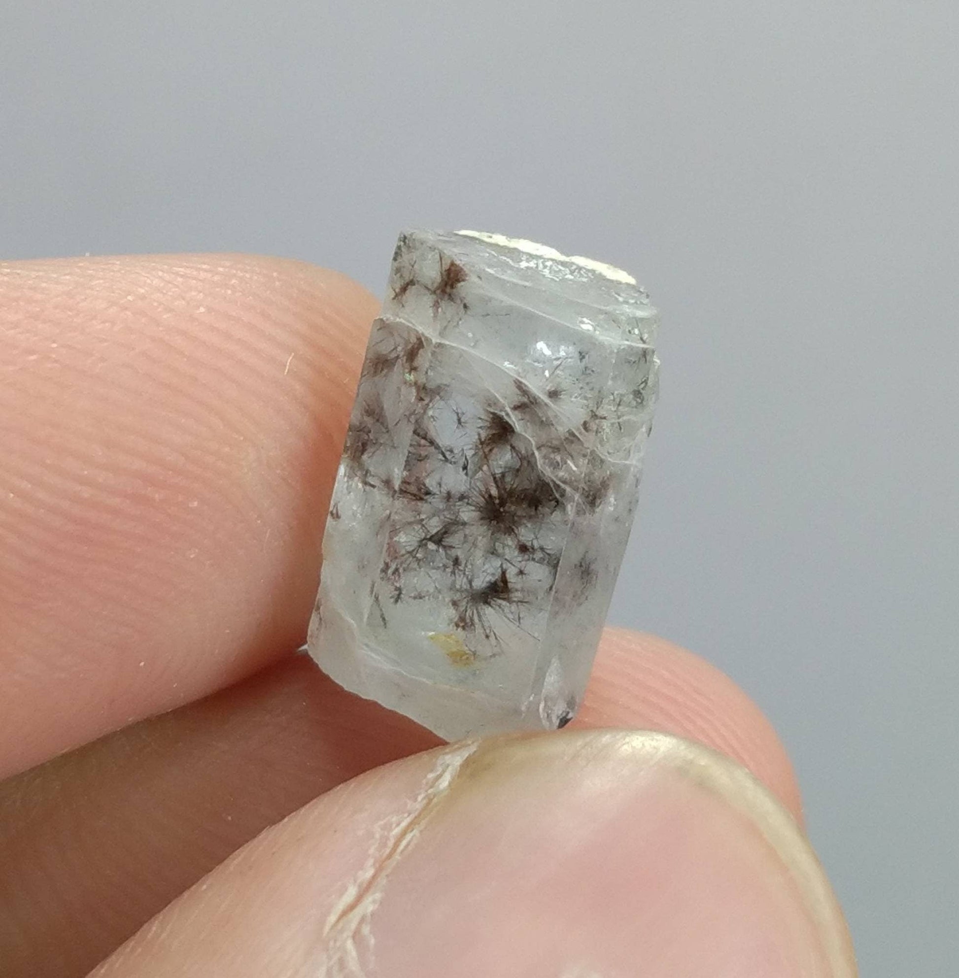 ARSAA GEMS AND MINERALSNatural high quality beautiful very rare 10.5 grams light blue small sized small lot of tantalite columbite included aquamarine crystals - Premium  from ARSAA GEMS AND MINERALS - Just $150.00! Shop now at ARSAA GEMS AND MINERALS