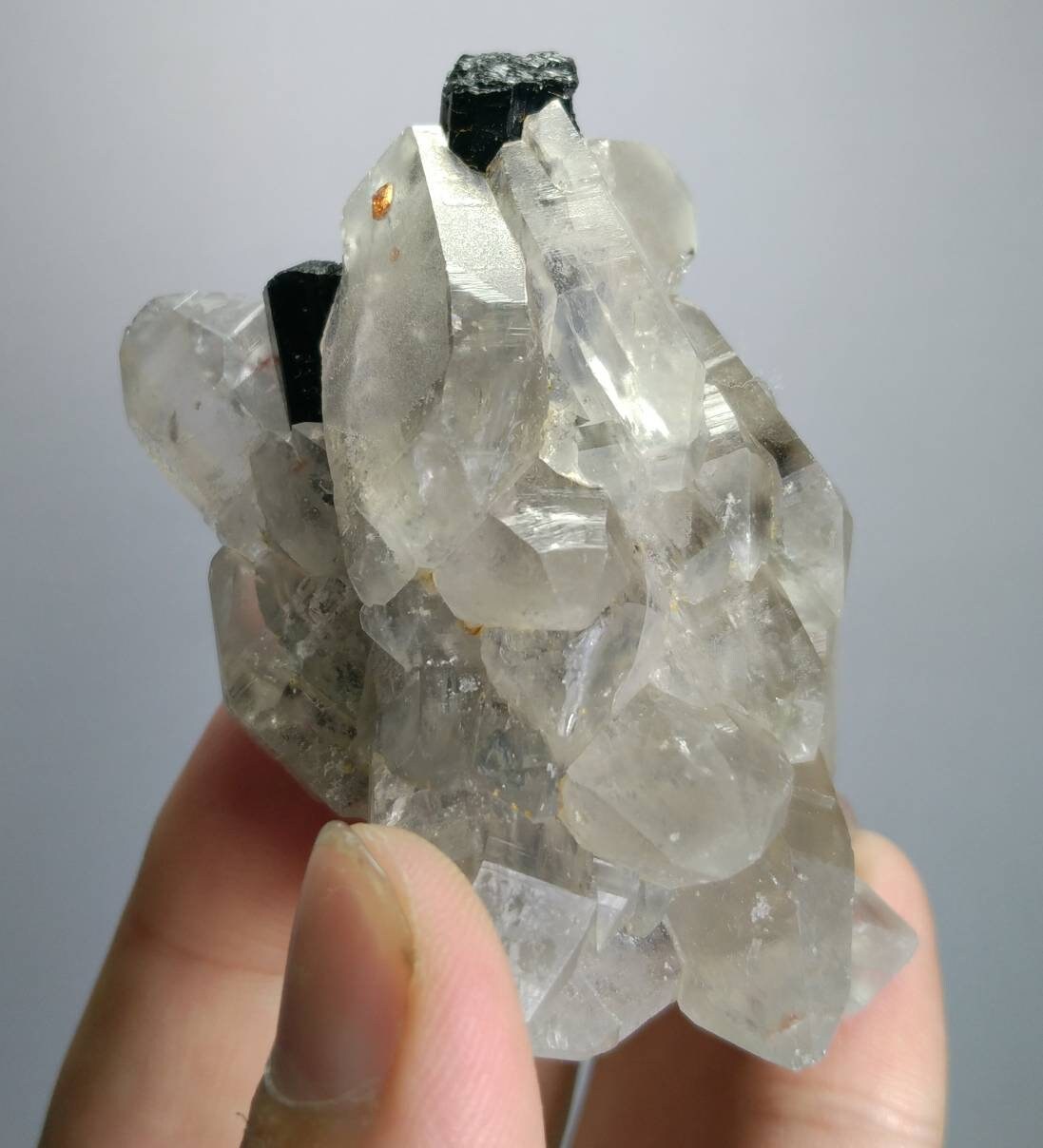 ARSAA GEMS AND MINERALSNatural aesthetic beautiful combination of terminated smokey quartz crystals with spessartine garnet and black tourmaline crystals grown - Premium  from ARSAA GEMS AND MINERALS - Just $130.00! Shop now at ARSAA GEMS AND MINERALS