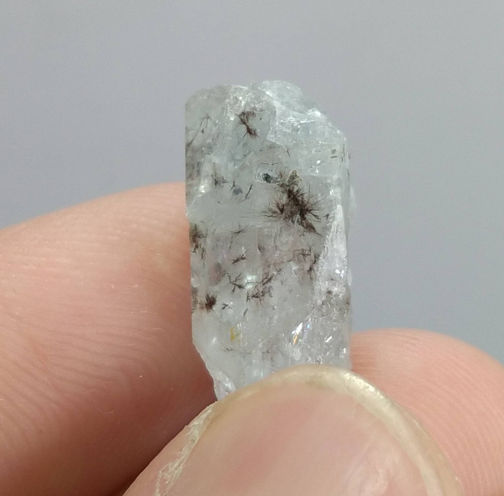 ARSAA GEMS AND MINERALSNatural high quality beautiful very rare 10.5 grams light blue small sized small lot of tantalite columbite included aquamarine crystals - Premium  from ARSAA GEMS AND MINERALS - Just $150.00! Shop now at ARSAA GEMS AND MINERALS