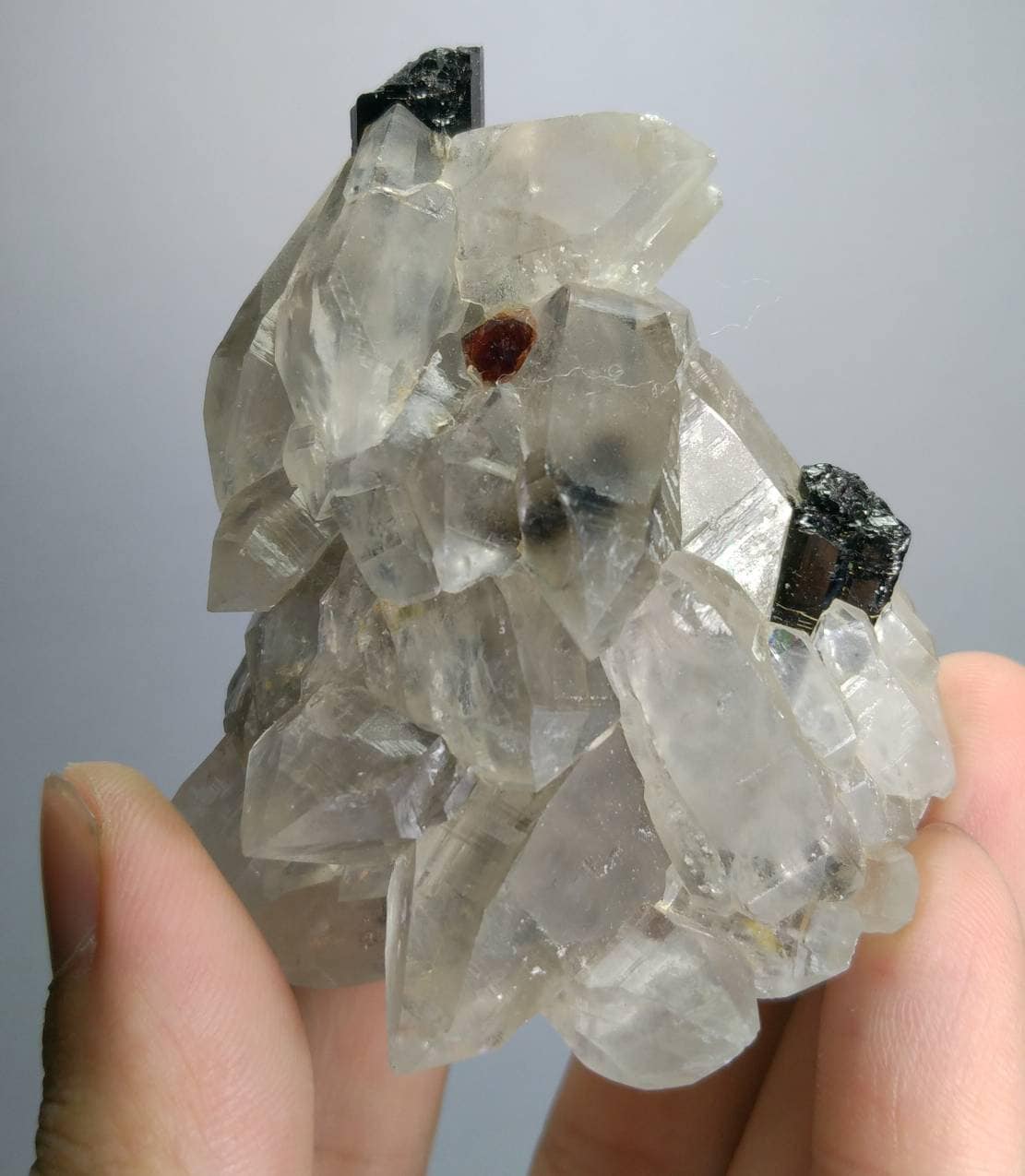 ARSAA GEMS AND MINERALSNatural aesthetic beautiful combination of terminated smokey quartz crystals with spessartine garnet and black tourmaline crystals grown - Premium  from ARSAA GEMS AND MINERALS - Just $130.00! Shop now at ARSAA GEMS AND MINERALS
