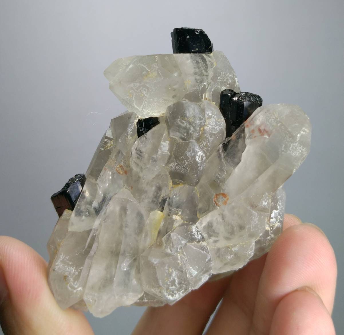 ARSAA GEMS AND MINERALSNatural aesthetic beautiful combination of terminated smokey quartz crystals with spessartine garnet and black tourmaline crystals grown - Premium  from ARSAA GEMS AND MINERALS - Just $130.00! Shop now at ARSAA GEMS AND MINERALS