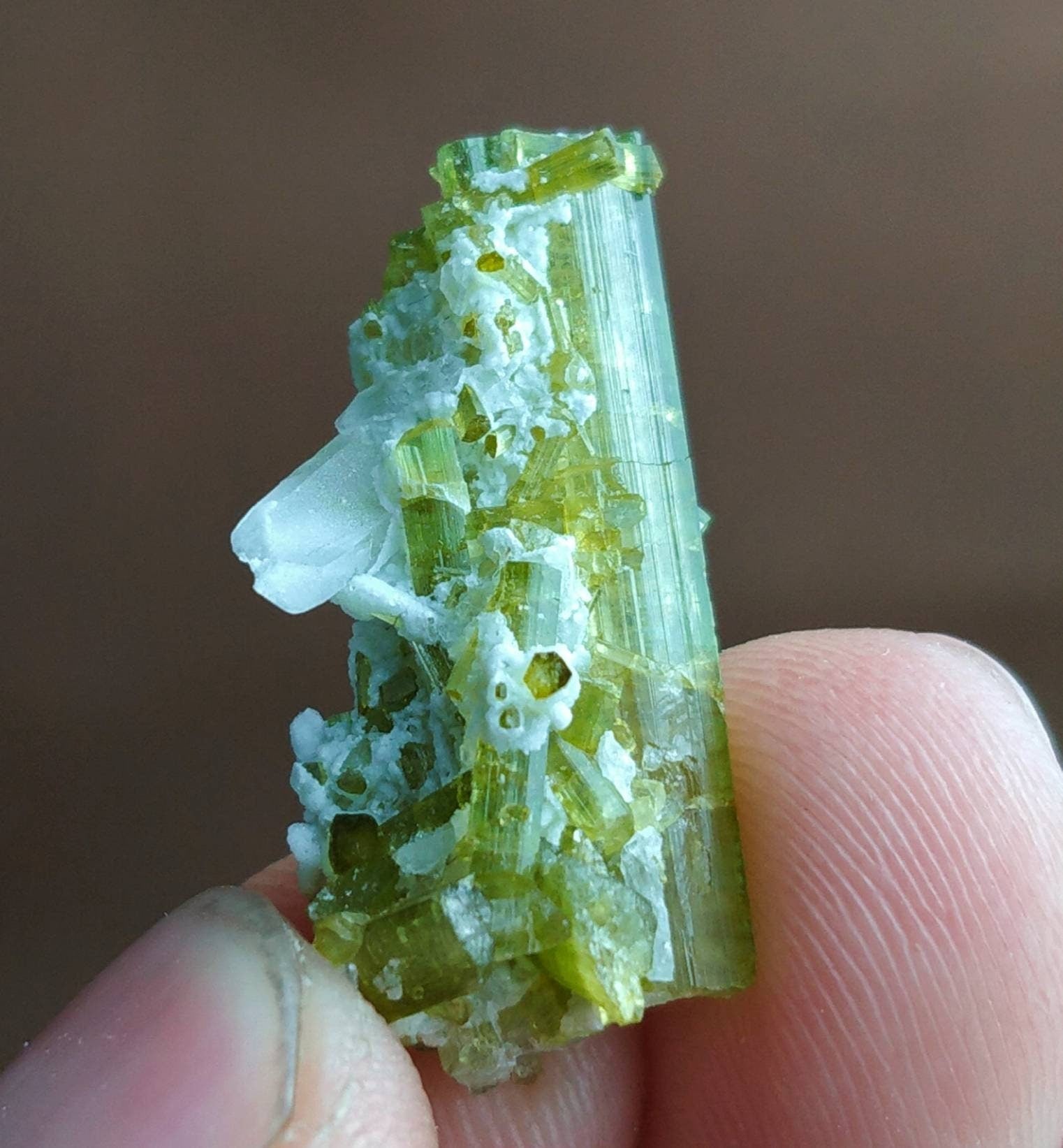 ARSAA GEMS AND MINERALSTerminated natural green tourmaline crystal with quartz on matrix from Skardu GilgitBaltistan Pakistan, weight: 3.3 grams - Premium  from ARSAA GEMS AND MINERALS - Just $50.00! Shop now at ARSAA GEMS AND MINERALS
