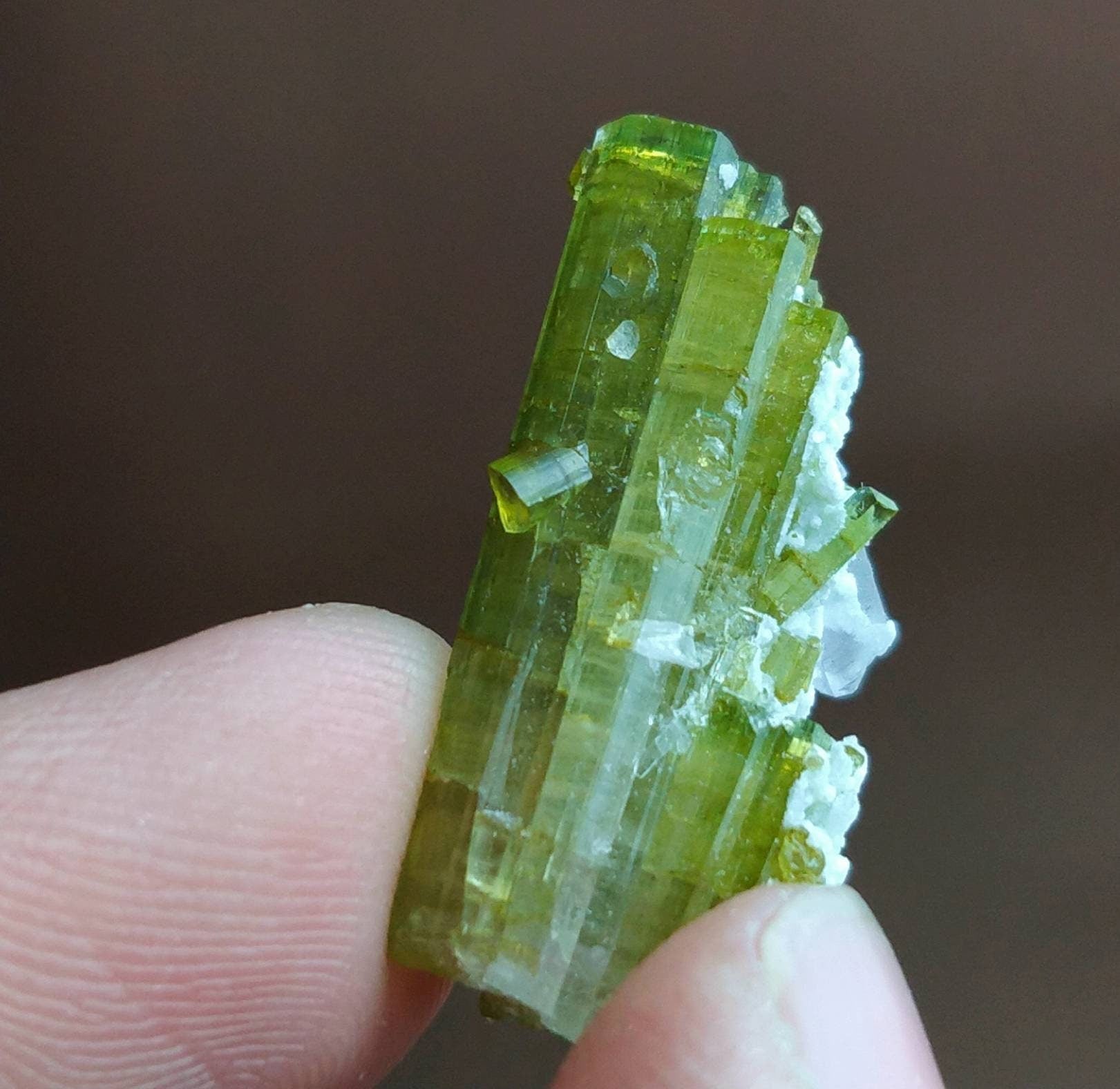 ARSAA GEMS AND MINERALSTerminated natural green tourmaline crystal with quartz on matrix from Skardu GilgitBaltistan Pakistan, weight: 3.3 grams - Premium  from ARSAA GEMS AND MINERALS - Just $50.00! Shop now at ARSAA GEMS AND MINERALS