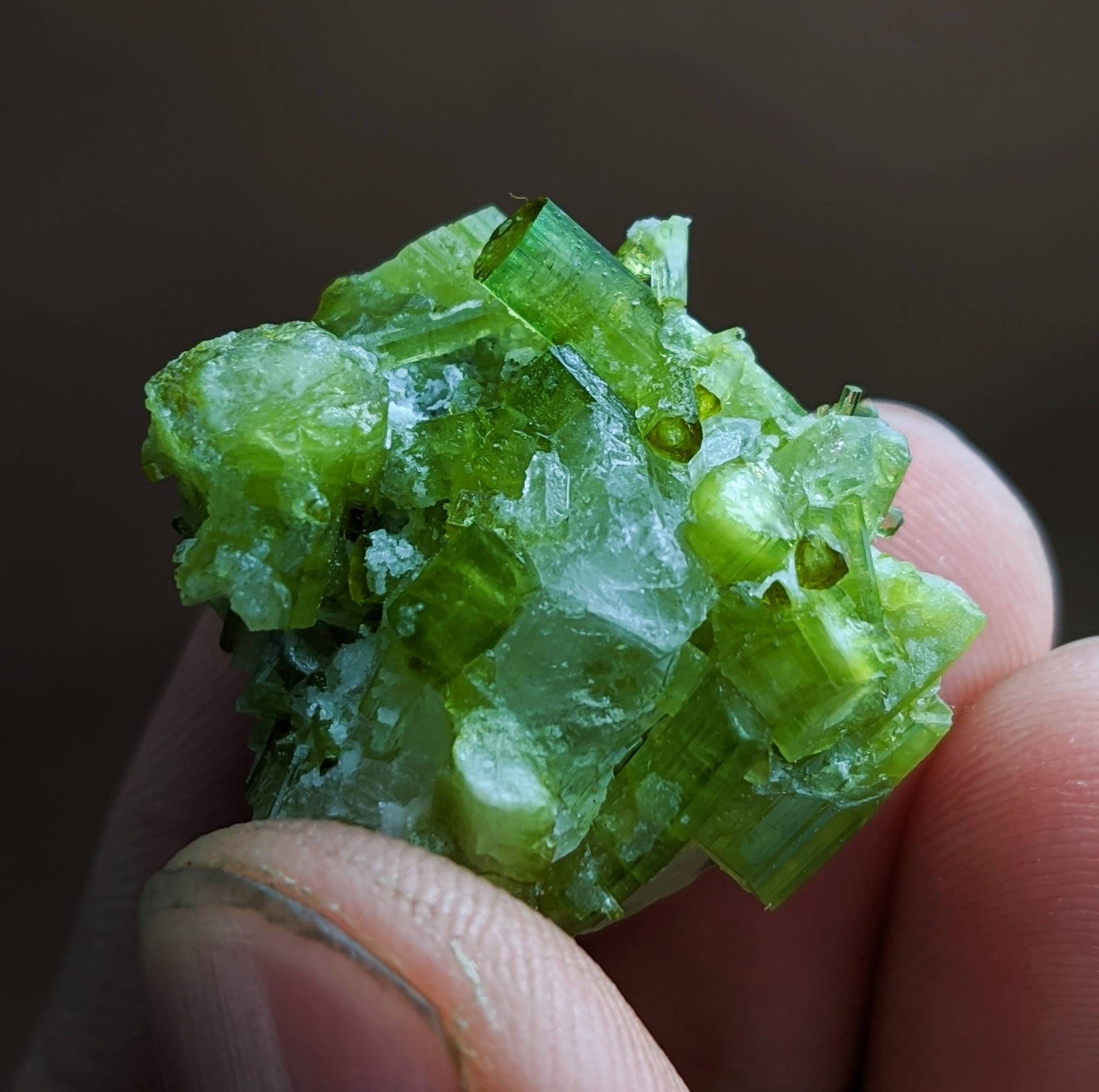 ARSAA GEMS AND MINERALSGreen tourmaline terminated on matrix cluster with quartz from Skardu GilgitBaltistan Pakistan, weight 12 grams - Premium  from ARSAA GEMS AND MINERALS - Just $55.00! Shop now at ARSAA GEMS AND MINERALS