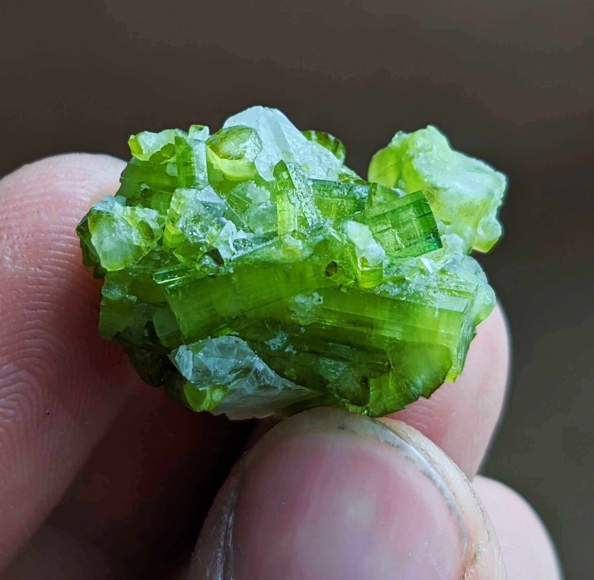 ARSAA GEMS AND MINERALSGreen tourmaline terminated on matrix cluster with quartz from Skardu GilgitBaltistan Pakistan, weight 12 grams - Premium  from ARSAA GEMS AND MINERALS - Just $55.00! Shop now at ARSAA GEMS AND MINERALS