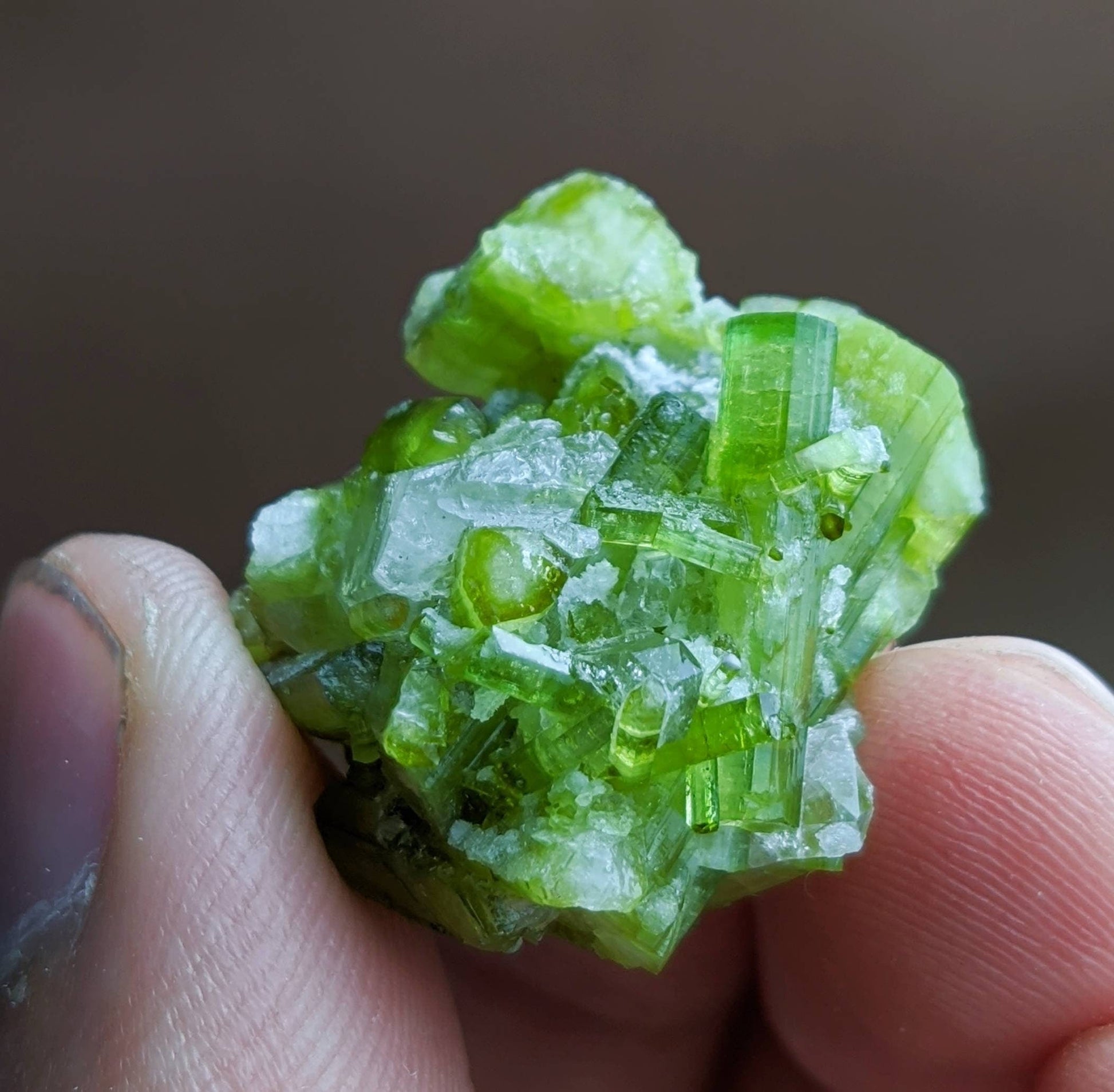 ARSAA GEMS AND MINERALSGreen tourmaline terminated on matrix cluster with quartz from Skardu GilgitBaltistan Pakistan, weight 12 grams - Premium  from ARSAA GEMS AND MINERALS - Just $55.00! Shop now at ARSAA GEMS AND MINERALS