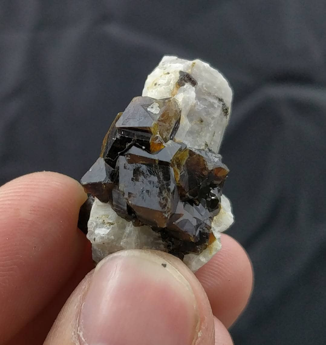 ARSAA GEMS AND MINERALSNatural good quality beautiful 14.1 grams andradite garnet crystal on matrix on feldspar - Premium  from ARSAA GEMS AND MINERALS - Just $20.00! Shop now at ARSAA GEMS AND MINERALS