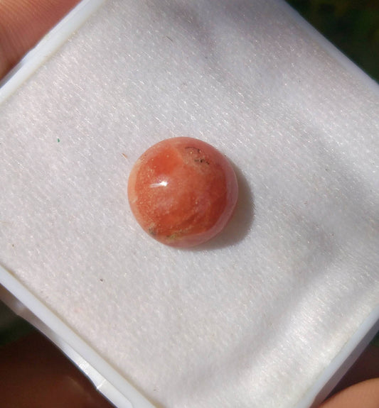 ARSAA GEMS AND MINERALSNatural top quality beautiful 15 carats round shape triplite cabochon - Premium  from ARSAA GEMS AND MINERALS - Just $30.00! Shop now at ARSAA GEMS AND MINERALS