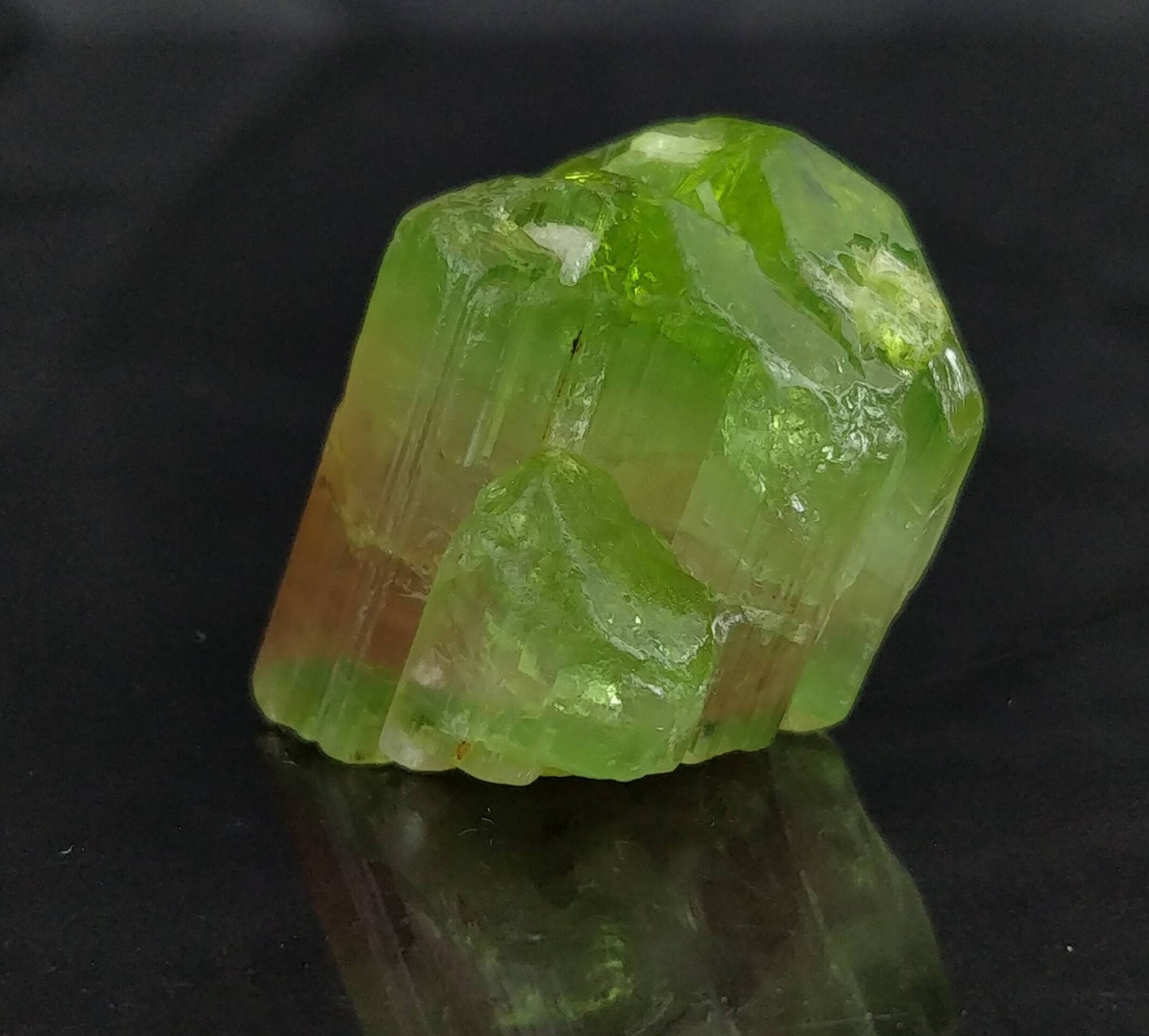 ARSAA GEMS AND MINERALSMulticolor terminated tourmaline crystal 18.5 grams weight from Africa - Premium  from ARSAA GEMS AND MINERALS - Just $360.00! Shop now at ARSAA GEMS AND MINERALS