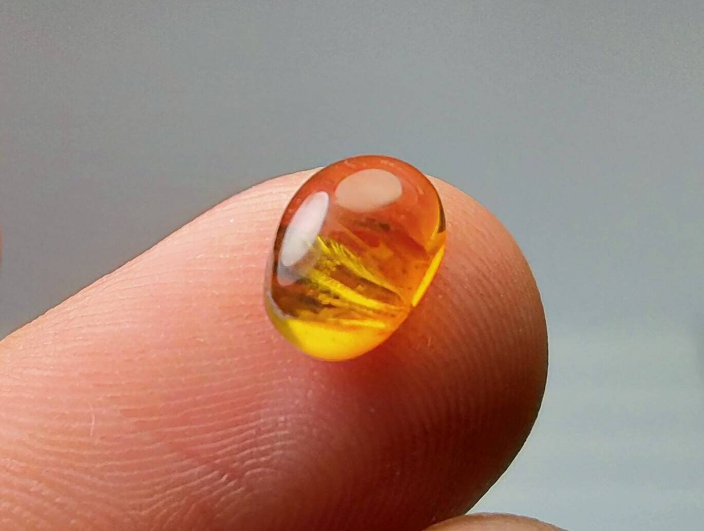 ARSAA GEMS AND MINERALSNatural good quality ring size multicolore tourmaline cabochons - Premium  from ARSAA GEMS AND MINERALS - Just $78.00! Shop now at ARSAA GEMS AND MINERALS