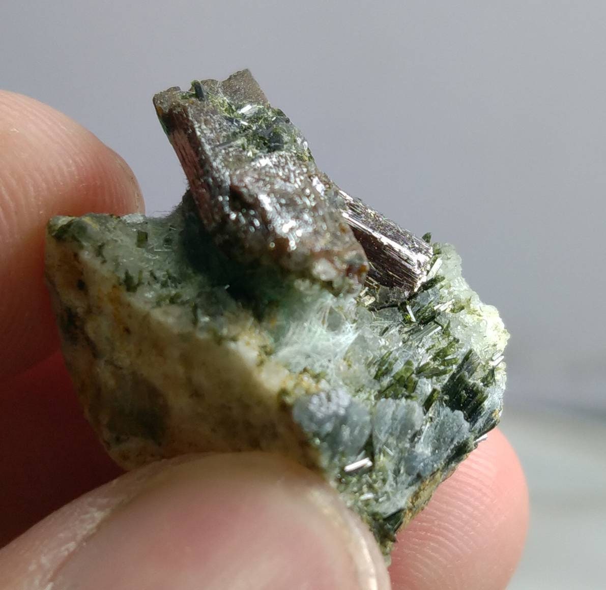 ARSAA GEMS AND MINERALSNatural top quality beautiful 8 grams terminated rutile crystal on matrix albite with ejerine crystals - Premium  from ARSAA GEMS AND MINERALS - Just $70.00! Shop now at ARSAA GEMS AND MINERALS