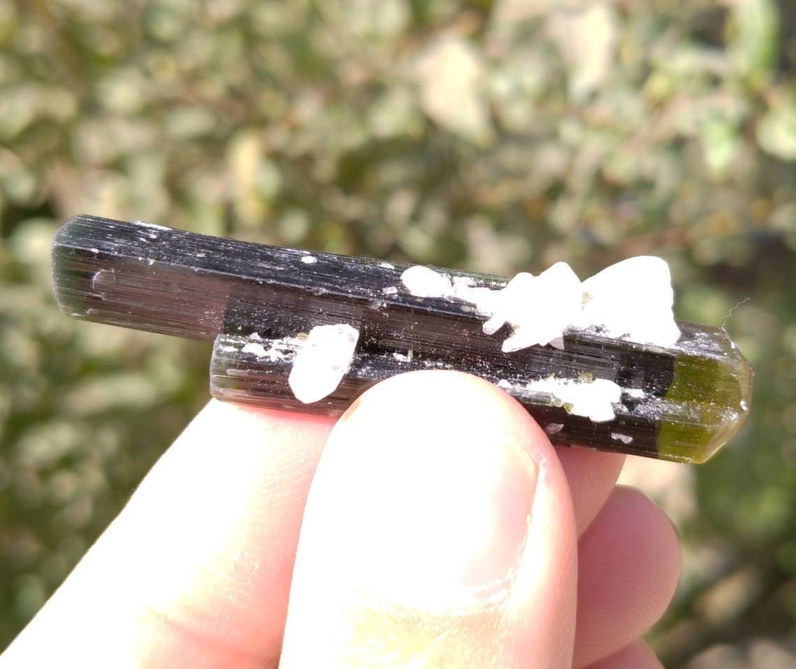 ARSAA GEMS AND MINERALSNatural top quality beautiful 11 grams terminated twins double green cap Tourmaline crystal - Premium  from ARSAA GEMS AND MINERALS - Just $55.00! Shop now at ARSAA GEMS AND MINERALS