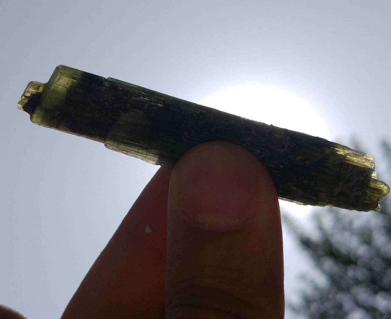 ARSAA GEMS AND MINERALSNatural top quality beautiful 16.7 grams double terminated double sided green cap Tourmaline crystal - Premium  from ARSAA GEMS AND MINERALS - Just $75.00! Shop now at ARSAA GEMS AND MINERALS