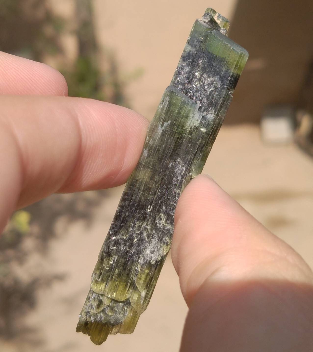 ARSAA GEMS AND MINERALSNatural top quality beautiful 16.7 grams double terminated double sided green cap Tourmaline crystal - Premium  from ARSAA GEMS AND MINERALS - Just $75.00! Shop now at ARSAA GEMS AND MINERALS