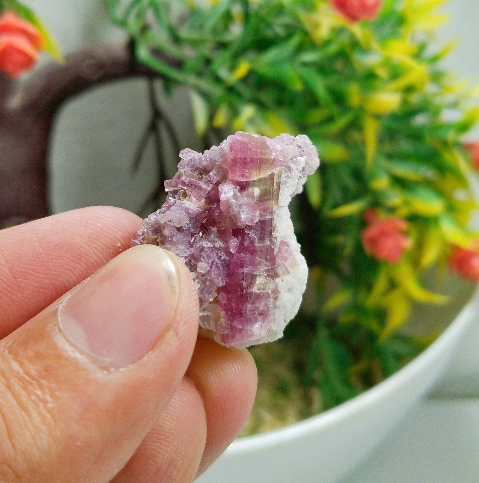ARSAA GEMS AND MINERALSNatural top quality beautiful 10.8 grams Elbaite Tourmaline on Lapidolite pink crystal - Premium  from ARSAA GEMS AND MINERALS - Just $55.00! Shop now at ARSAA GEMS AND MINERALS