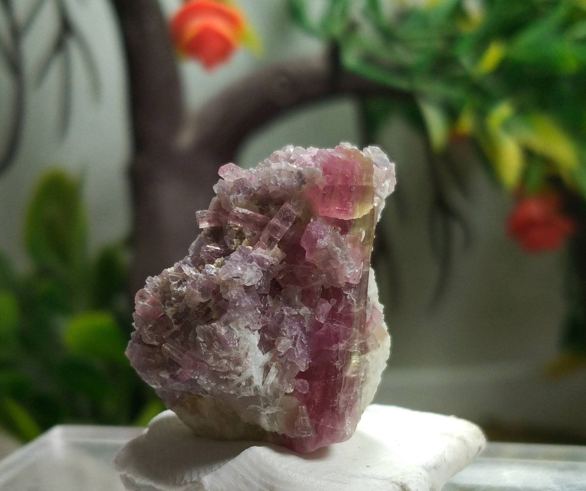 ARSAA GEMS AND MINERALSNatural top quality beautiful 10.8 grams Elbaite Tourmaline on Lapidolite pink crystal - Premium  from ARSAA GEMS AND MINERALS - Just $55.00! Shop now at ARSAA GEMS AND MINERALS
