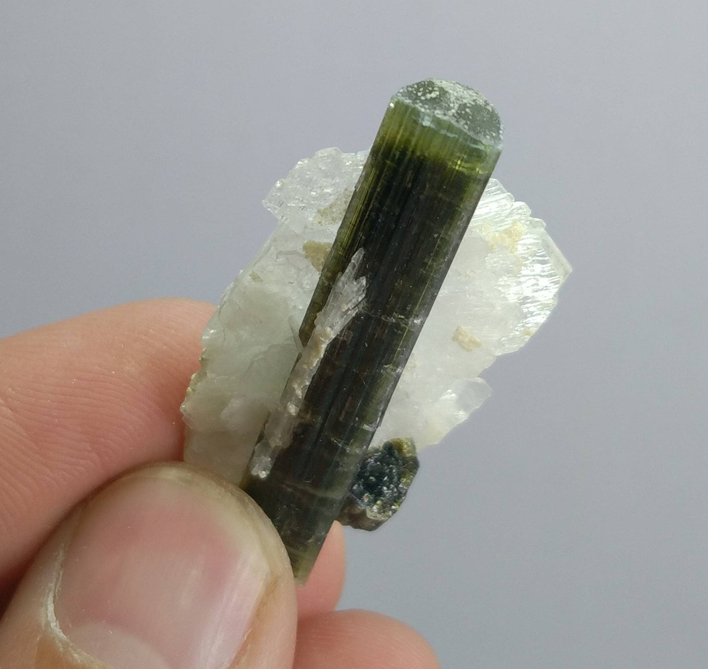 ARSAA GEMS AND MINERALSNatural top quality beautiful 6.7 grams double terminated green cap Tourmaline crystal - Premium  from ARSAA GEMS AND MINERALS - Just $50.00! Shop now at ARSAA GEMS AND MINERALS
