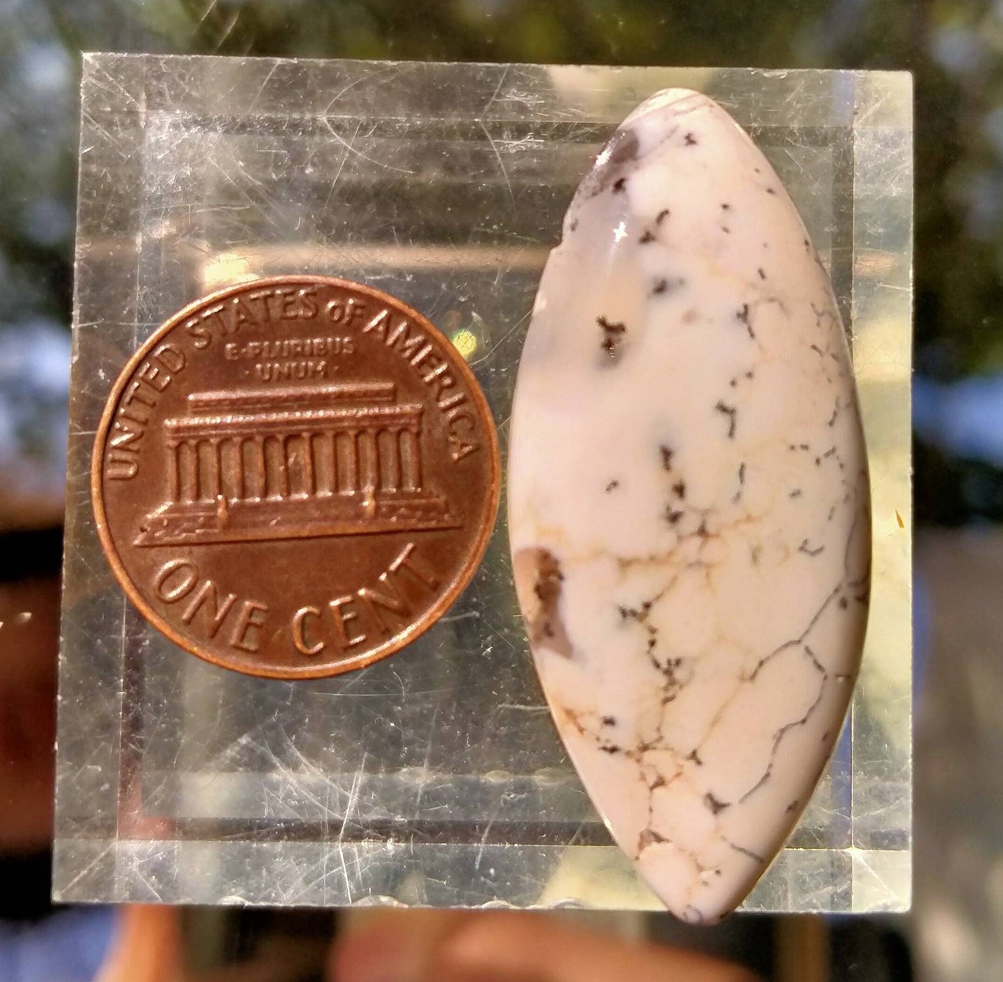 ARSAA GEMS AND MINERALSNatural top quality beautiful cabochon of dendritic opal - Premium  from ARSAA GEMS AND MINERALS - Just $12.00! Shop now at ARSAA GEMS AND MINERALS
