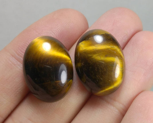ARSAA GEMS AND MINERALSNatural top quality beautiful 34 carats pair of tigereye cabochons - Premium  from ARSAA GEMS AND MINERALS - Just $15.00! Shop now at ARSAA GEMS AND MINERALS