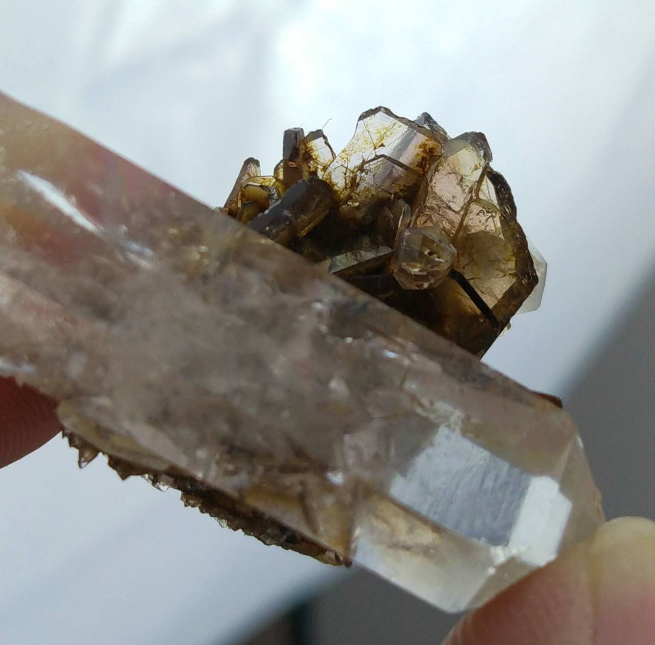 ARSAA GEMS AND MINERALSRare Quartz double terminated with on matrix clear axinite cluster from Mohmand Agency KPK Pakistan, weight 19.3 grams - Premium  from ARSAA GEMS AND MINERALS - Just $60.00! Shop now at ARSAA GEMS AND MINERALS