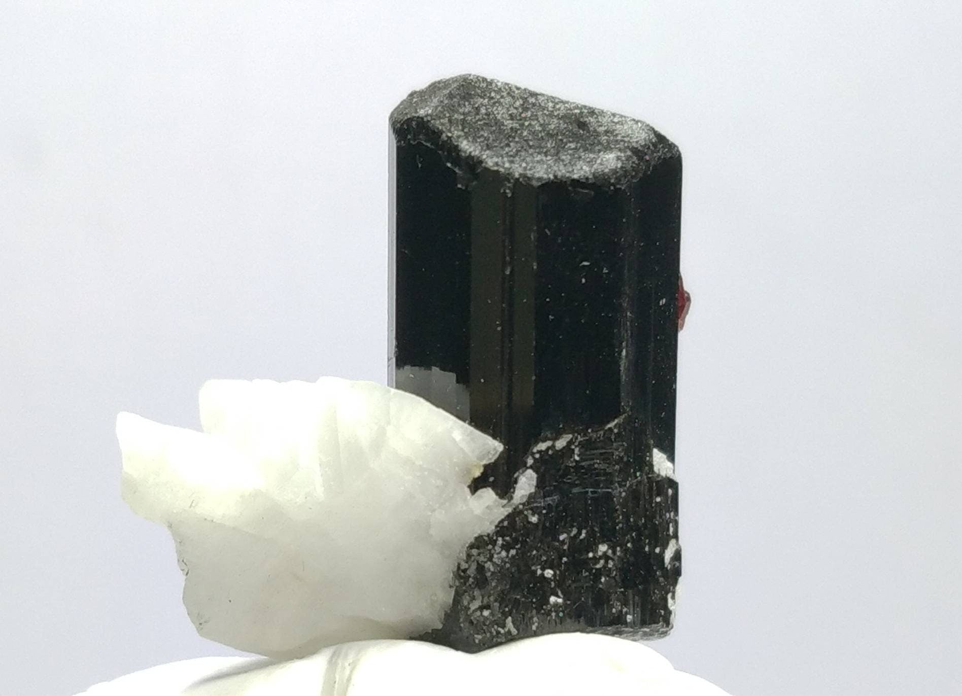 ARSAA GEMS AND MINERALSTop Quality beautiful natural 10.5 grams amazing terminated crystal of black tourmaline with spessartine garnet and albite - Premium  from ARSAA GEMS AND MINERALS - Just $45.00! Shop now at ARSAA GEMS AND MINERALS