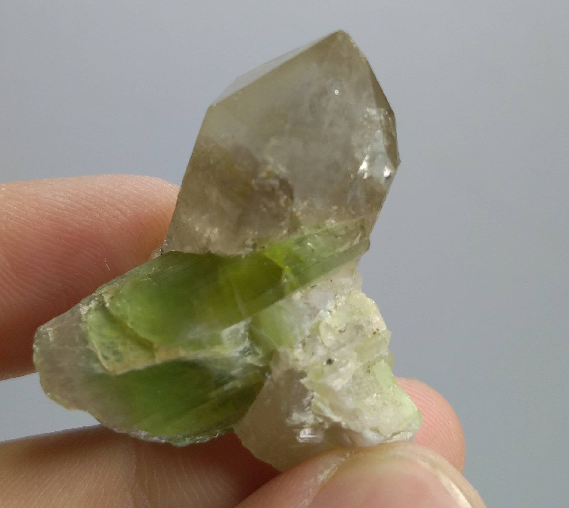 ARSAA GEMS AND MINERALSTop Quality beautiful natural 13.7 grams smokey quartz with bicolor tourmaline crystal - Premium  from ARSAA GEMS AND MINERALS - Just $60.00! Shop now at ARSAA GEMS AND MINERALS