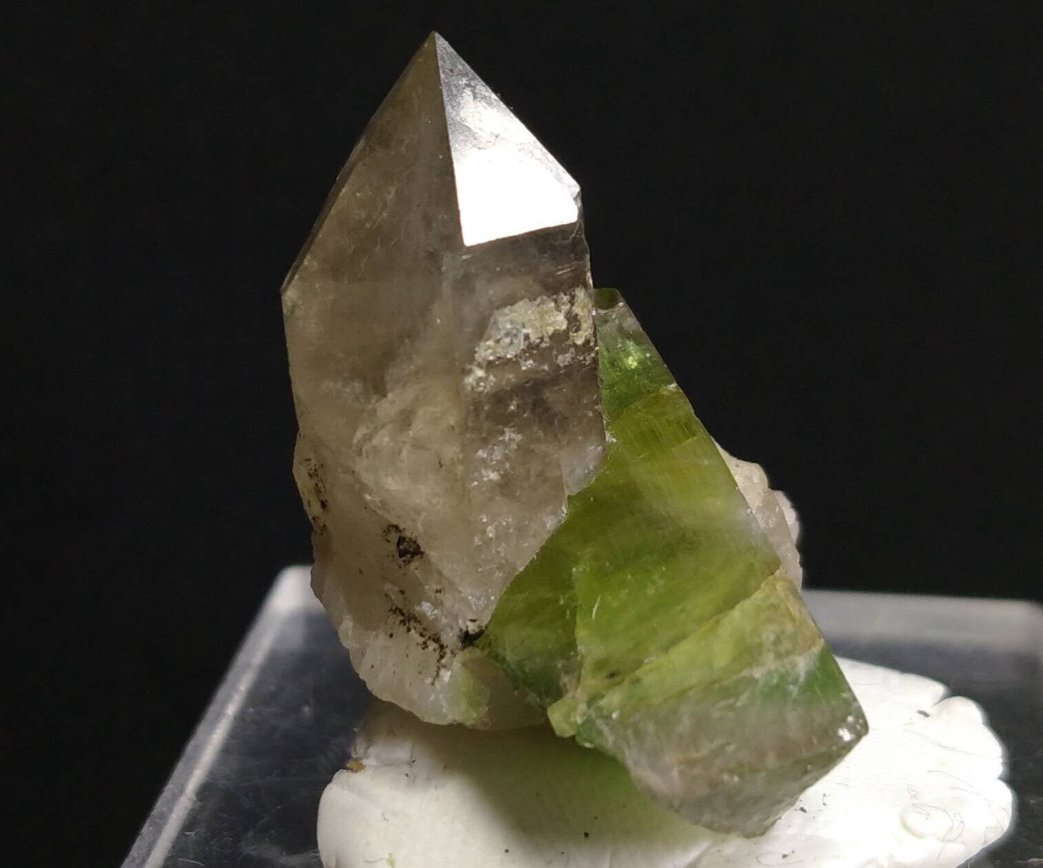 ARSAA GEMS AND MINERALSTop Quality beautiful natural 13.7 grams smokey quartz with bicolor tourmaline crystal - Premium  from ARSAA GEMS AND MINERALS - Just $60.00! Shop now at ARSAA GEMS AND MINERALS
