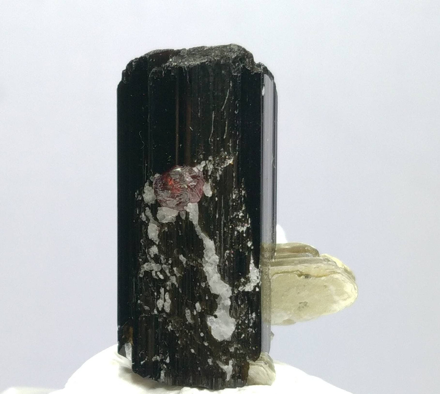 ARSAA GEMS AND MINERALSTop Quality beautiful natural 16.2 grams terminated crystal of black tourmaline with spessartine garnet and muscovite - Premium  from ARSAA GEMS AND MINERALS - Just $40.00! Shop now at ARSAA GEMS AND MINERALS